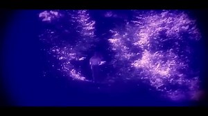 5.9K views · 57 reactions | Tim Moore - Yes | Músicas do Passado que Marcaram Época | Facebook