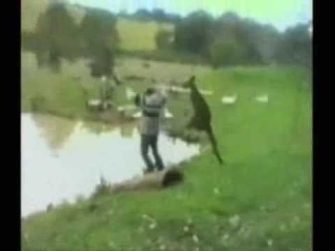 Come to Australia song