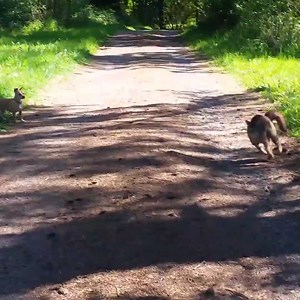 Humour pics on Reels