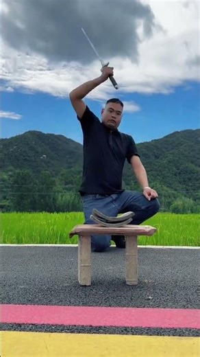 Family Road Trip Safety: Wild Dog Defense Guide