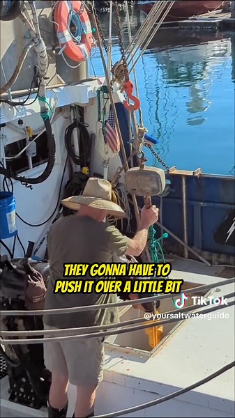 Guess the Fish Coming From the Hole