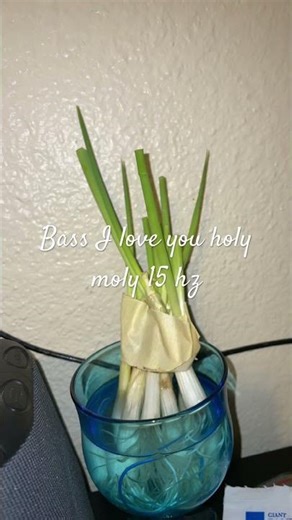 Sony subwoofer base test 15 Hz base. I love you.