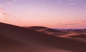 Desert Sunset Images – Browse 1,774,940 Stock Photos, Vectors, and Video