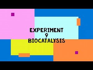 [SDS] EXPERIMENT 9 : Biocatalysis (Exercise 9.2)