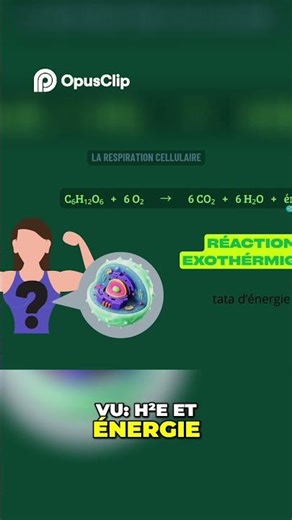 Combustion Explained: CO2, Water, Energy and Heat