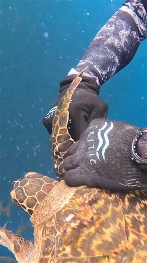 #sehrikhaborakhboroja #lifeisbutadream #automobile #lifeisbutadream #jetski #jetski #hjgaming #vido