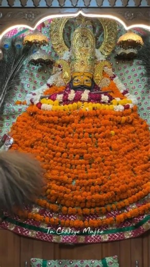 Meri har khushi ka raaz... Khatu Naresh. 🌸#shyam #shorts #bhakti #algorithm #ambalacity #viralbhakti