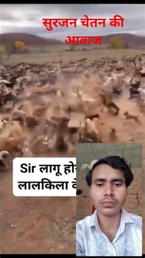 सुरजन चेतन की आवाज मलखान विवाह