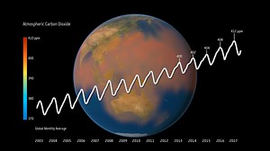Carbon Cycle