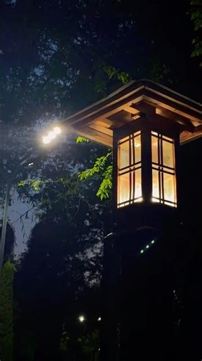 🍃🗼#minivlog #adayinmylife #shortvideo #shortsindia ✨🫶🏻