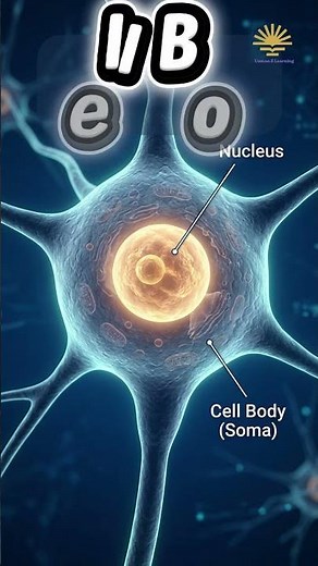 Neuron Explained | Parts of a Neuron | Nervous System Biology 🧠⚡