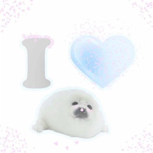 Exploring the Harp Seal: A Rant