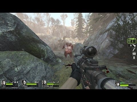 Left 4 Dead 2 Random Weapons Animation with MW Anim Mod Collection 2025 Expert full gameplay