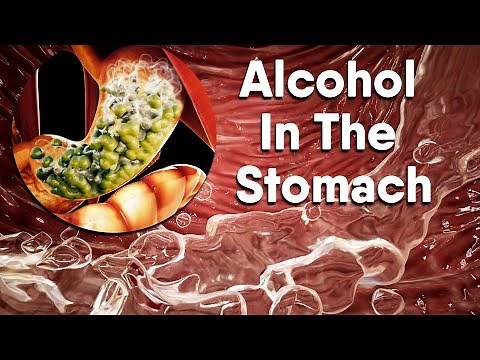 Alcohol increases acid in the stomach| Dandelion Team