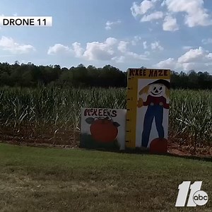 12K views · 66 reactions | CORN MAZE FUN: Ever wonder what it takes to make an intricate corn maze? We asked how it's created: https://abc11.tv/2Vye06l | ABC11 WTVD | Facebook