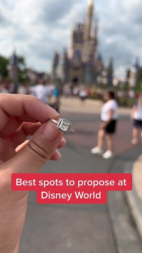 Unique Disney Proposal Ideas: Cinderella's Wishing Well and More