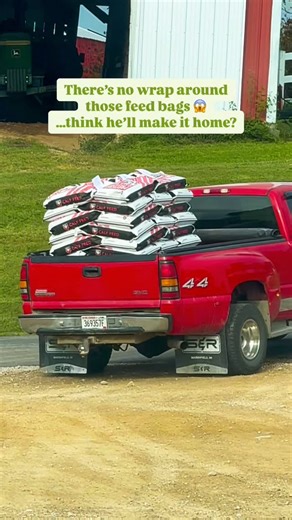 Jessica Rogers on Instagram: "🤞😅Kinda wanted to follow him for awhile just to see 😳😅#wiscolife #farming #cows #wisconsin #cowsofinstagram #dairyfarming #trucks #country #countrylife #countryliving"