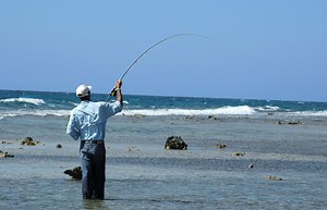 Watch Guide Tested Saltwater Flies - The Fly Fishing Place on Amazon Live