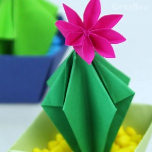 4.4K views · 53 reactions | Avez-vous la main noire même avec les plantes grasses ? Dans cette vidéo nous vous montrons comment en réaliser un grâce à la technique de l'origami. | Creativo France | Facebook