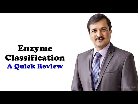 Enzyme Classification
