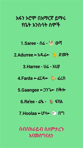 አፍን ኦሮሞ በአማርኛ ይማሩ (learn afaan oromo in Amharic )