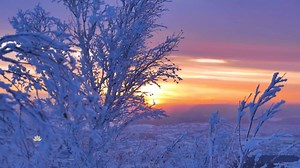 14K views · 1.2K reactions | The Snow It Melts the Soonest - White...