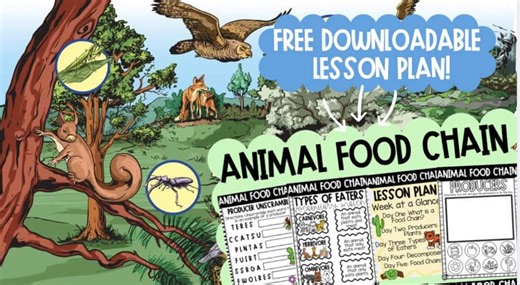 Who Eats Who? A 5 Day Unit Plan Exploring the Food Chain