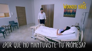 ¿Por qué no mantuviste tu promesa? | #OmerSuenosRobados (Yaralı Kuşlar) Capítulo 146 | Omer Suenos Robados