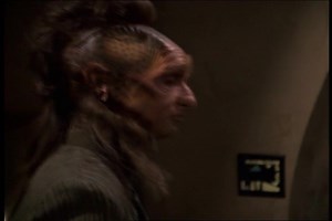 24K views · 663 reactions | Starfleet Records. Starfleet Personnel:...