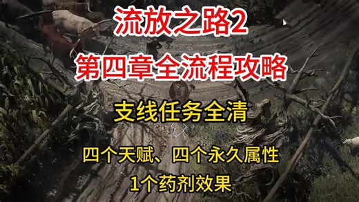 流放之路2：第四章全流程攻略，支线全清，天赋永久属性拿齐！