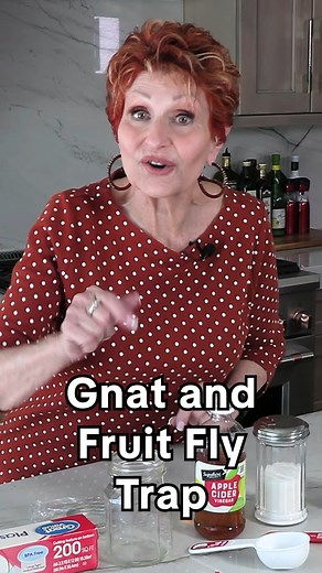 🪰 Here's a great all-natural, non-toxic gnat and fruit fly trap! Just mix 1/4 of apple cider vinegar with one teaspoon of suger. Next add one drop of dishsoap without mixing in. Cover with plastic wrap and poke a few holes for the bugs to enter. Want to try aother non-toxic and effective pest control method? Try out this fun fly zapper racquet! ⚡ https://amzn.to/4c9kTkc . . #cleaningtips #cleaninghacks #naturalcleaning #flies #pestcontrol #gnats #fruitflies #flytrap | Real Queen of Clean