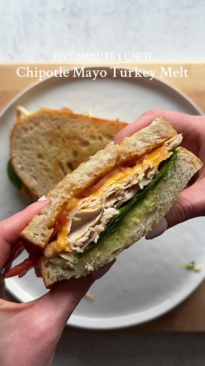 Quick Turkey Melt Sandwich Recipe for Busy Lunches