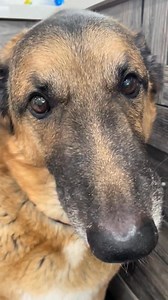 Django Smiled… and My Heart Exploded 😭❤️ | Djangosmiles