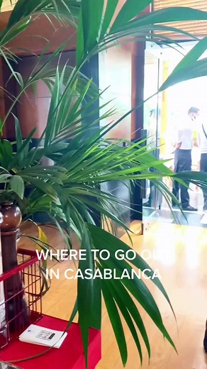 Discover the Café M with its gorgeous terrace and delicious menu 😍 ! #tiktok #foryoupage #casablanca #restaurant #food #lifestyle #travel