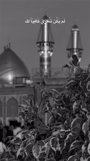 ‎علي سعد||AliSaad‎ on Instagram‎: "سياتي أليومَہ واقف في بابك سيدي . ، . #كربلاء #الحسين #خدمة_الحسين #قصائد_حسينية #مجالس_حسينية"‎