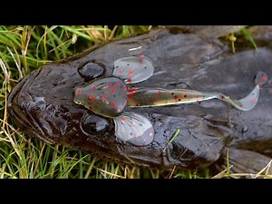 Catching Flathead On Flathead Lures!