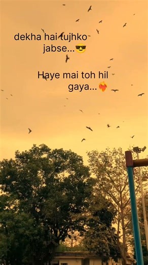 Dekha Hai Tujhko Jabse Haye Mai Toh Hil Gaya || Tera Hero Idhar Hai #rslyricx