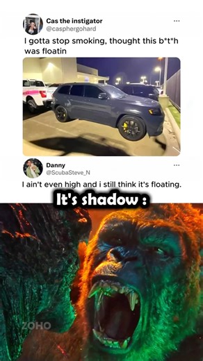 #catmeme