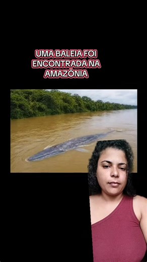 A baleia 🐳 DA Amazônia #bizarro #misterio #amazonia #baleia