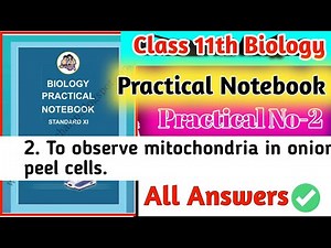 Class 11th Biology Practical Notebook|| 2.To Observe Mitochondria In Onion Peel Cells Answers