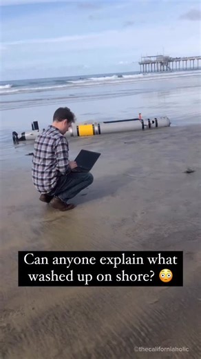 SoCal • California • Hidden Gems • Bucket List on Instagram: "And why is he being so secretive about it?? Did anyone else see this at La Jolla?! 😤 | 📍La Jolla Shores Anyone else find this to be a little suspicious? #sandiego #sandiegohiddengems #thingstodoinsandiego #california #californiaadventures #hiddengems #hiddengems #blacksbeach #lajolla #lajollashores #bioluminescence #alien #bioluminescence #summer #summervibes #sandiegolife #bioluminescence #ocean #views #tidepool #bucketlist #socala