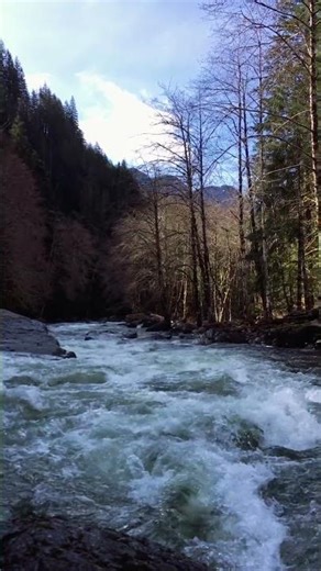 Snowmelt Roaring Away | Washington State | Taylor River Trail #nature #river #forest
