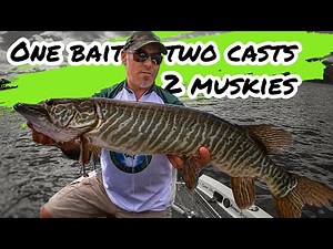 This MUSKY BAIT will IMPROVE your FISHING!