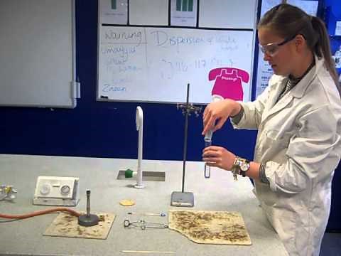 Burning Foods as a Fuel Experiment