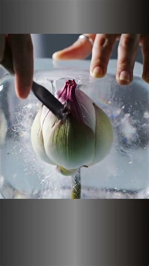 Releasing the Lotus ASMR #asmr #flowers #lotus #animation