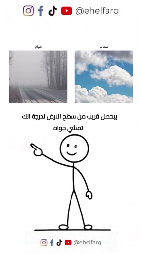 إيه الفرق: السحابة والضباب، البروتين النباتي والحيواني 🌫️#هل_تعلم #معلومات_عامة #علوم #تغذية #طقس