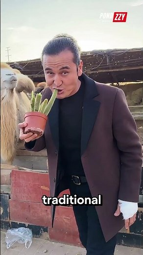 Why Do People Eat Cactus? The Surprising Truth! 🌵