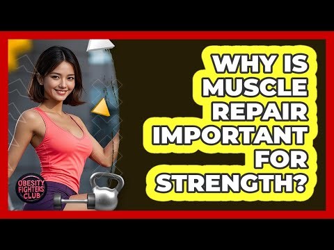 Why Is Muscle Repair Important For Strength?