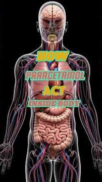 Paracetamol: What It Really Does Inside Your Body 🔥 | 3D Medical Breakdown