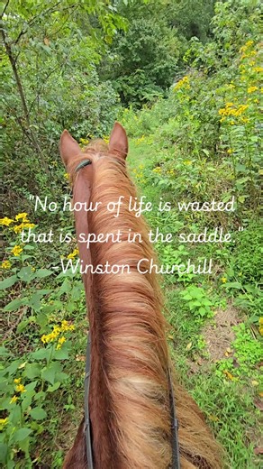 Slow down. Breathe deep. Ride a good horse. Whether it’s our Vineyard Ride, Back Country Ride, or private Date Night Experience, every ride at Foxfire Farm is designed for two people and a peaceful escape from the noise. Book your ride: https://foxfirefarmmdbooking.as.me/schedule/7e554597⁠